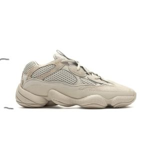 Yeezy 500